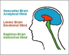 The Triune Brain – Out of the Mire