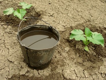 pail-of-dirty-water-579x435.jpg